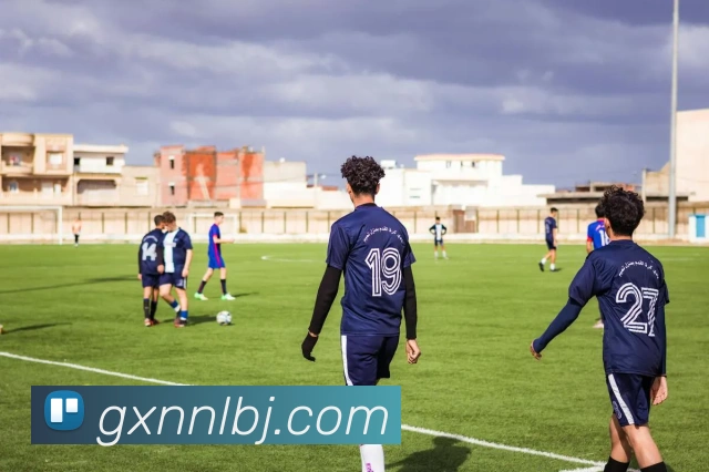 App Interface Preview