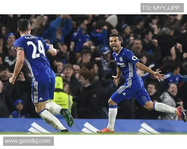 西布朗主场迎战切尔西竞彩分析及投注建议解析